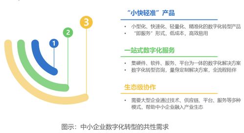 中國(guó)中小企業(yè)數(shù)字化轉(zhuǎn)型邁入快車道 一站式數(shù)字化服務(wù)與內(nèi)容制作成剛需